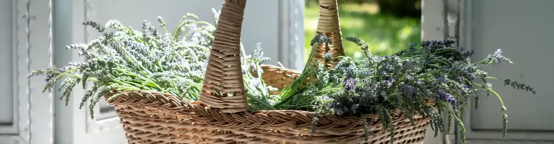 Basket with Fresh Flowers (by Elena Kloppenburg) (phone)