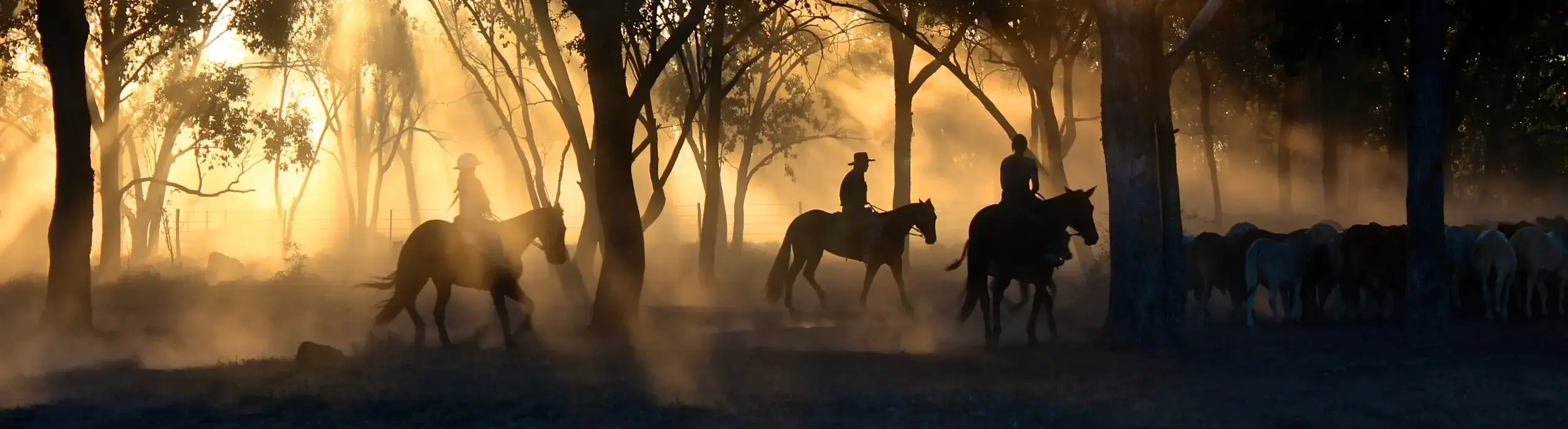 Cowboys Riding through Trees at Sunrise (by Tobias Keller) (phone)