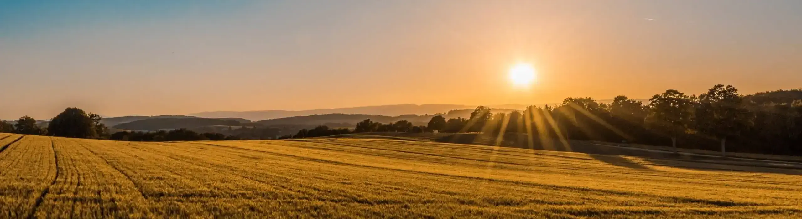 Sunrise Over a Field (By Federico Respini) (phone)
