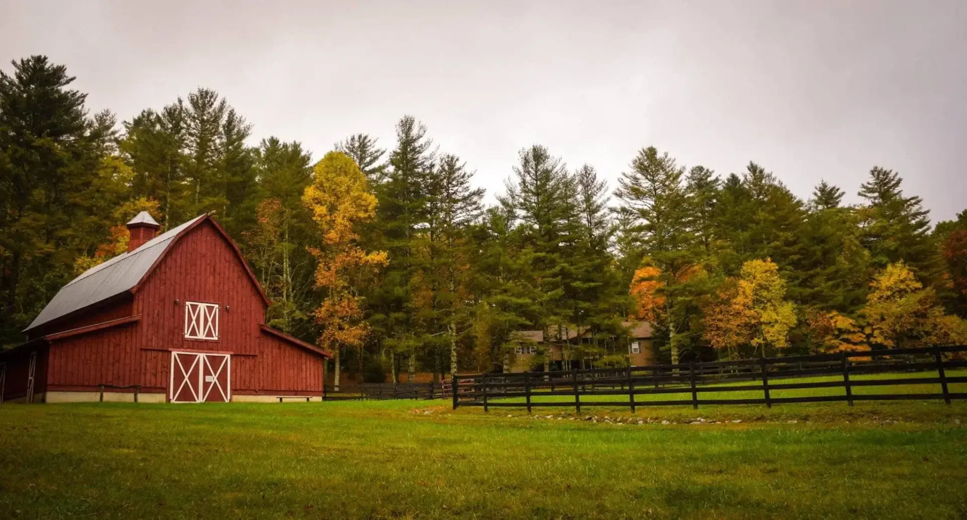 frances-gunn-QcBAZ7VREHQ-unsplash (1)