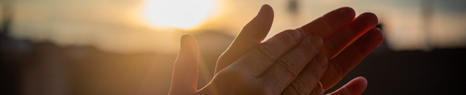 Hands Clapping in the Sunlight by Guillermo Latorre