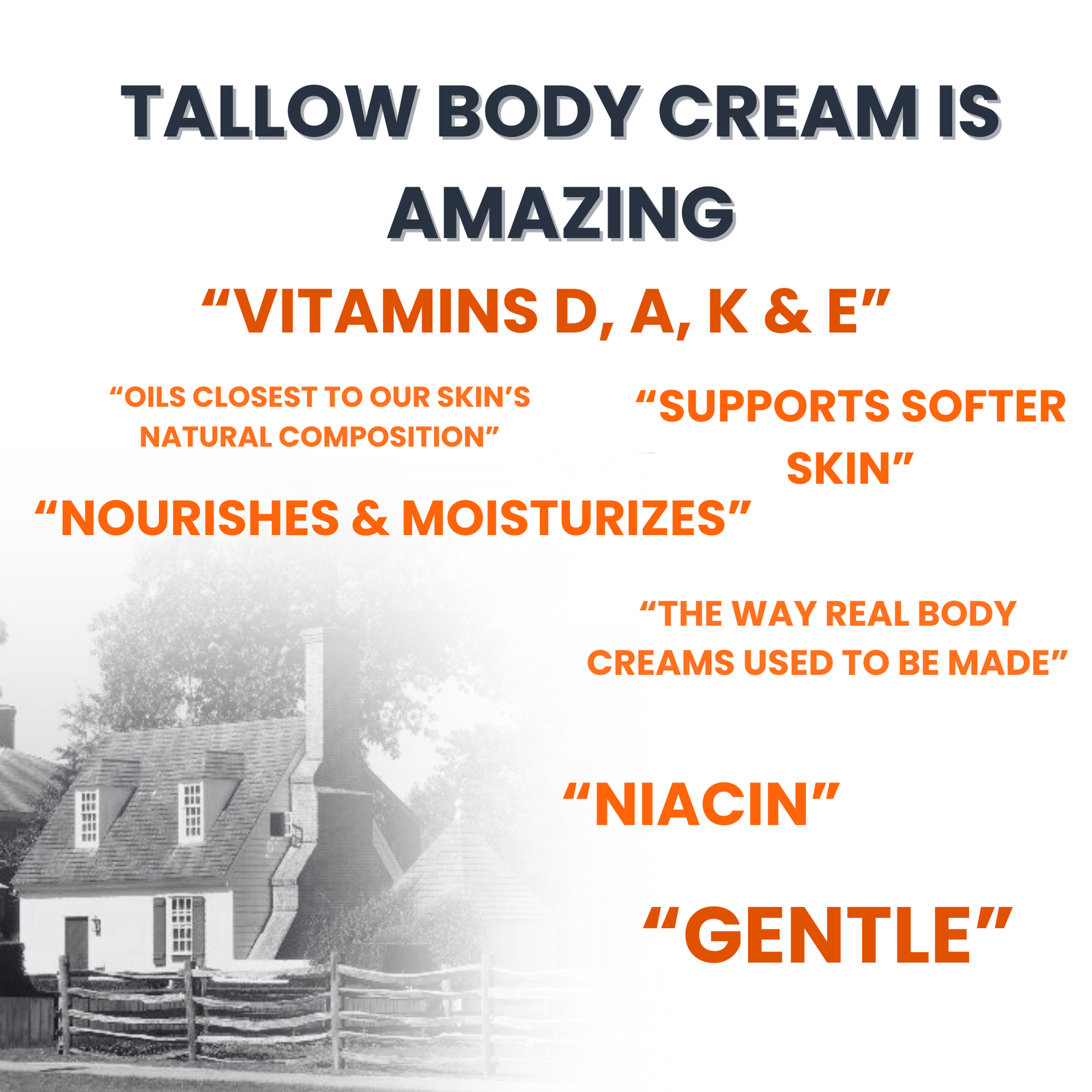 Premium Whipped Tallow Body & Face Cream - Vanilla Citrus (2 FL OZ) - Image 3